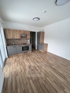 NIce studio flat with good accessibility