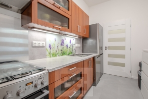 Pronájem bytu 2+kk 44 m², Praha - Nusle