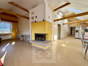 Pronájem byty 4+kk, 195 m² - Velké Opatovice