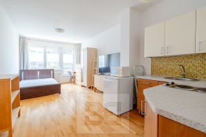 Rent flats 1+KT 30 m², Praha - Michle