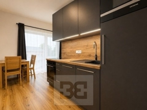 Rent flats 1+KT 30 m², Brno - Královo Pole