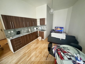 Rent flats 2+KT 49 m², Brno-město