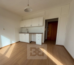 Slunný byt po rekonstrukci 2+kk, Karlovy Vary - Rybáře