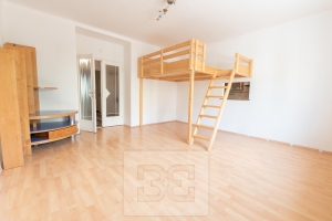 Pronájem bytu 2+1 80 m², Praha - Žižkov