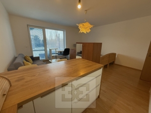 Apartment with a garden and parking 1+Kk 38 m², Hostivice