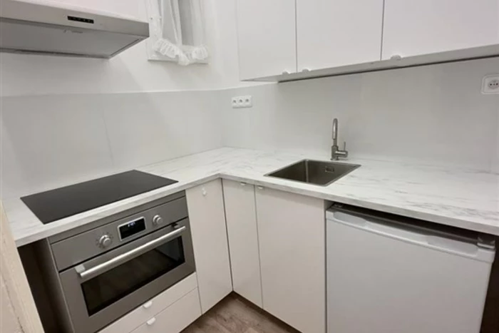 Apartment 3+1 104 m² for rent in Holešovice
